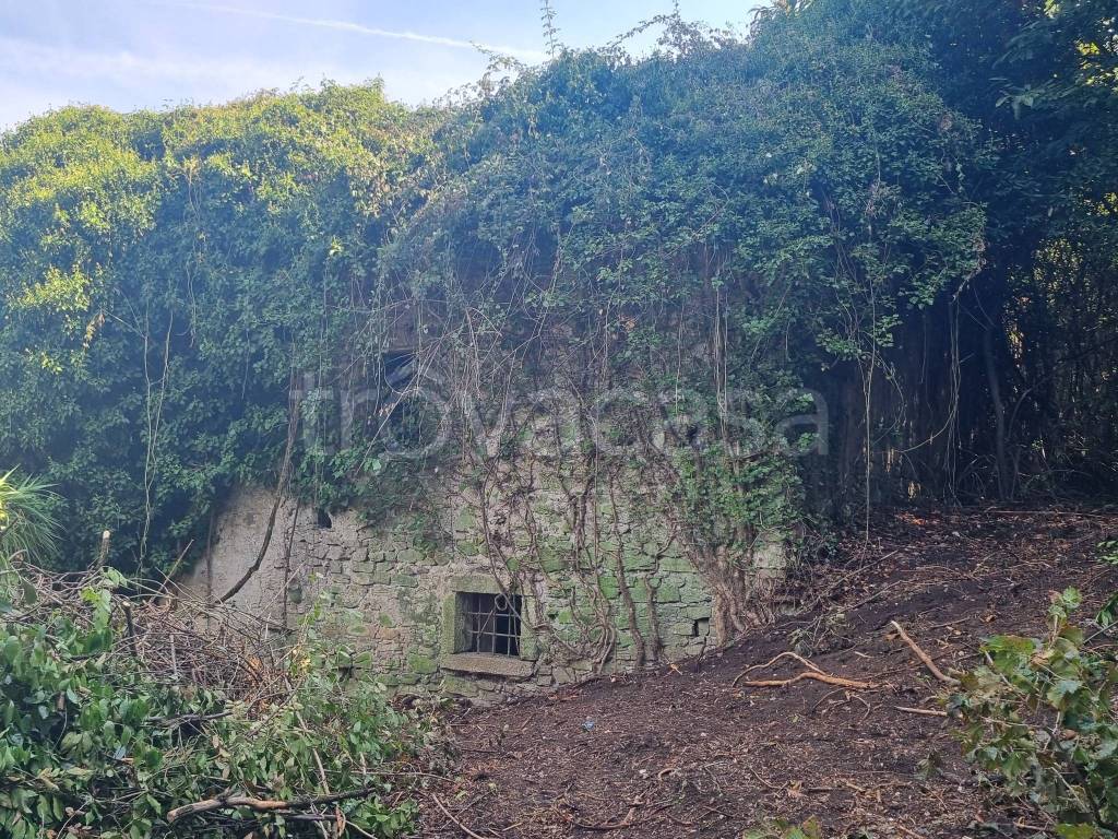 immagine annuncio 5 di 9