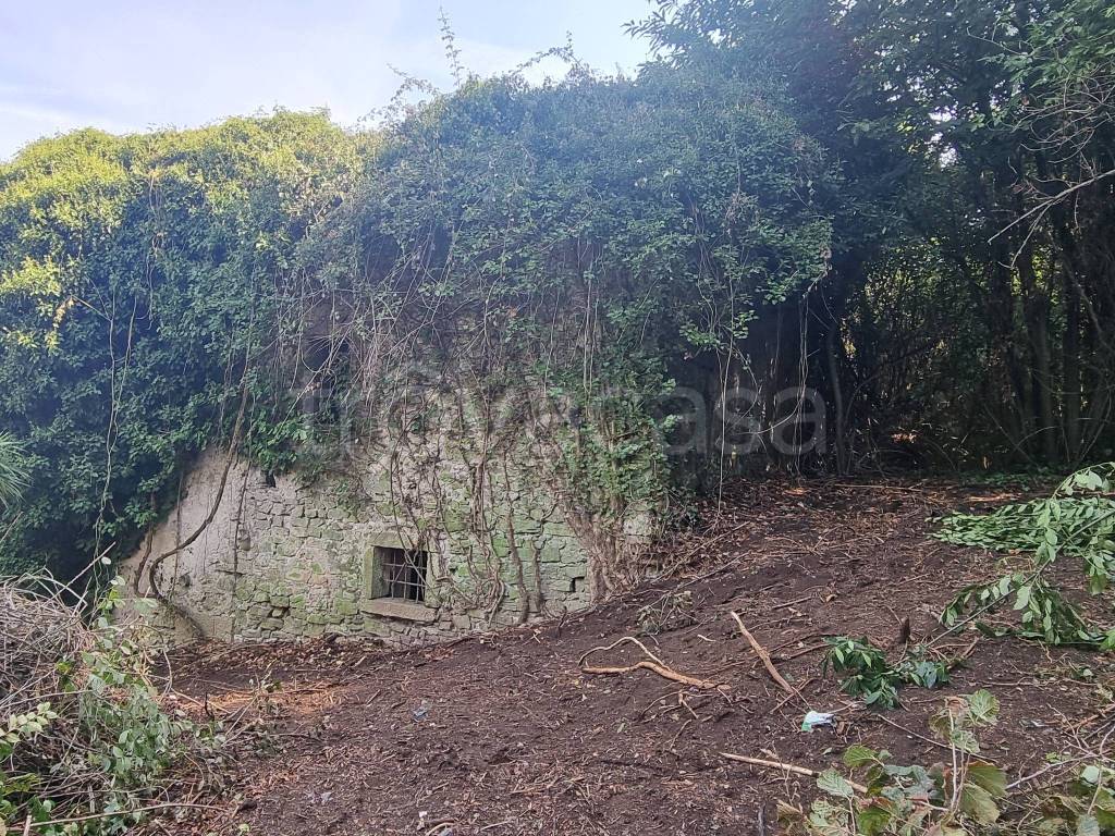 immagine annuncio 7 di 9