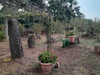 Terreno agricolo in vendita a lainate via per lainate