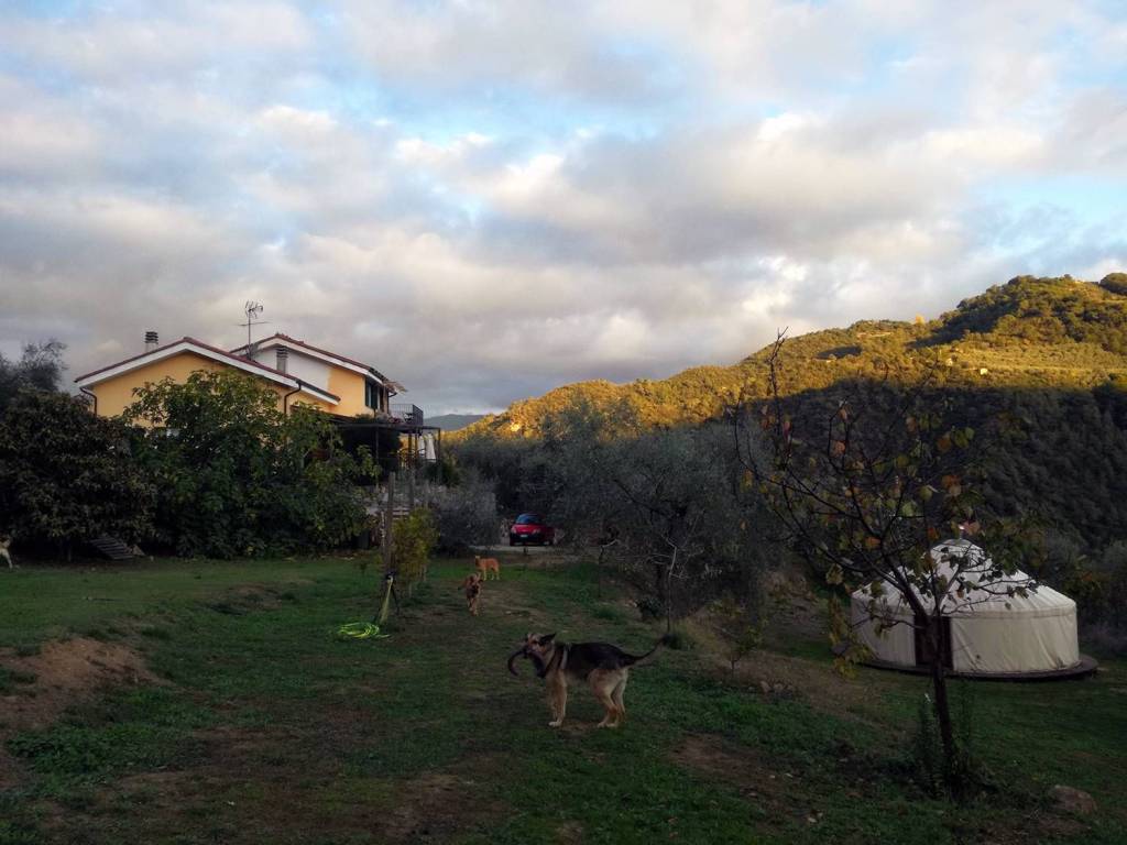 immagine annuncio 11 di 15