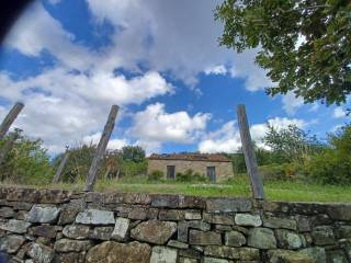 Terreno agricolo in vendita a ogliastro cilento via santa maria biancamano