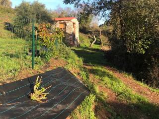 Terreno agricolo in vendita a camaiore frazione fibbialla, 50