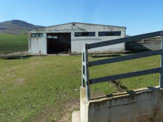 Terreno agricolo in vendita a miglionico 