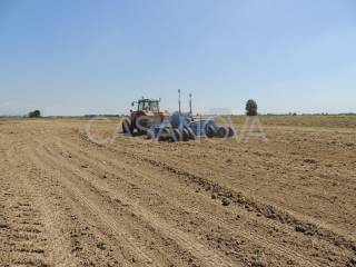 Terreno agricolo in vendita a mosciano sant'angelo 