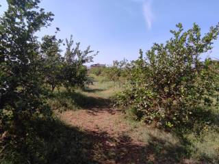 Terreno agricolo in vendita a floridia strada finaidi