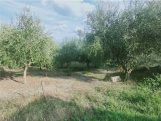 Terreno agricolo in vendita a oliveto citra strada comunala spaccatore