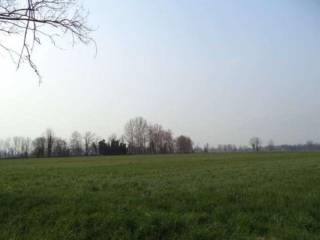 Terreno agricolo in vendita a credera rubbiano strada vicinale del lago snc