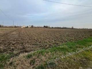 Terreno agricolo in vendita a rovigo via san michele carso, fraz. sarzano