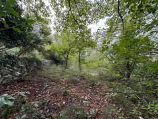 Terreno agricolo in vendita a verona via volte maso