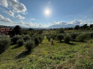 Terreno agricolo in vendita a montefredane sp185