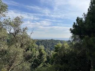 Terreno agricolo in vendita a camaiore via delle capanne, 1d