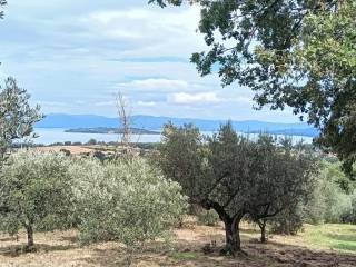 Terreno agricolo in vendita a magione via della fragola, 4