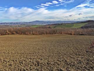 Terreno agricolo in vendita ad allerona strada provinciale 50