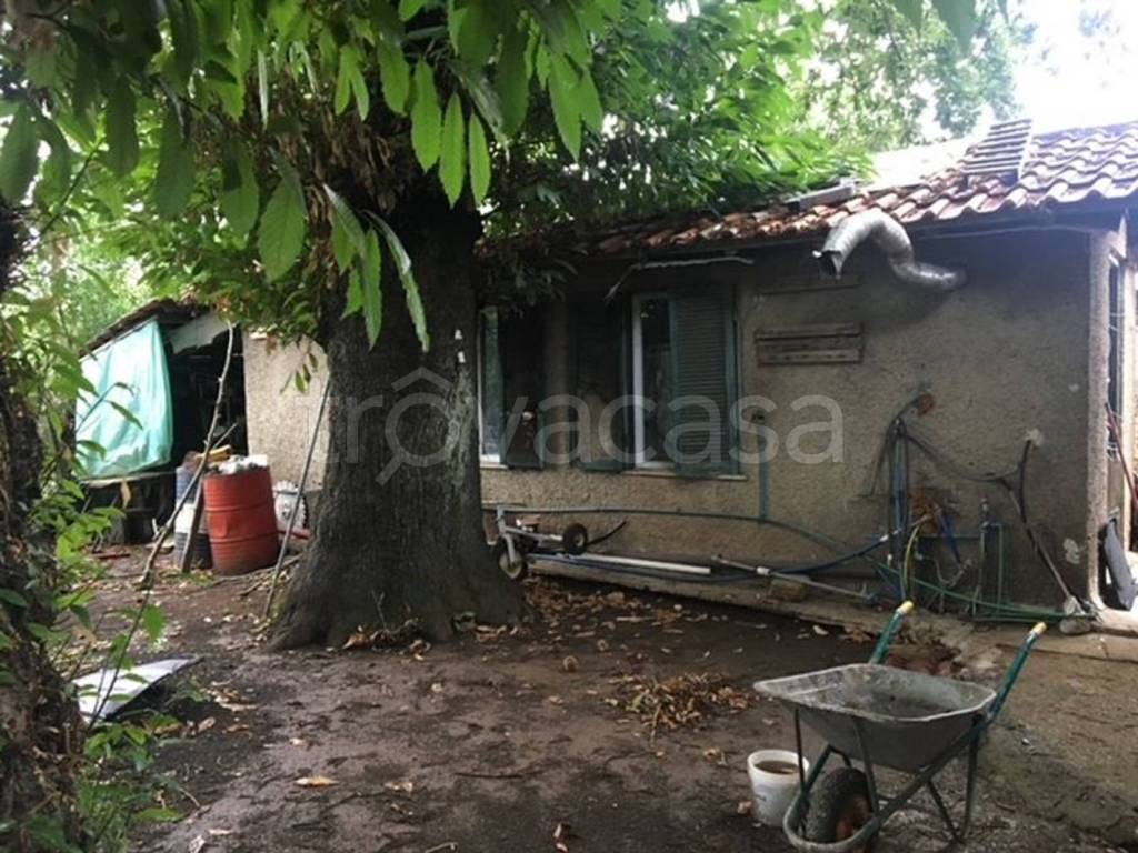 immagine annuncio 5 di 11