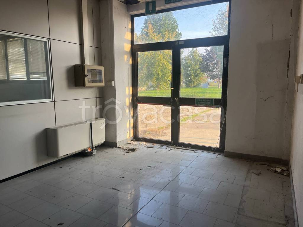 immagine annuncio 3 di 14