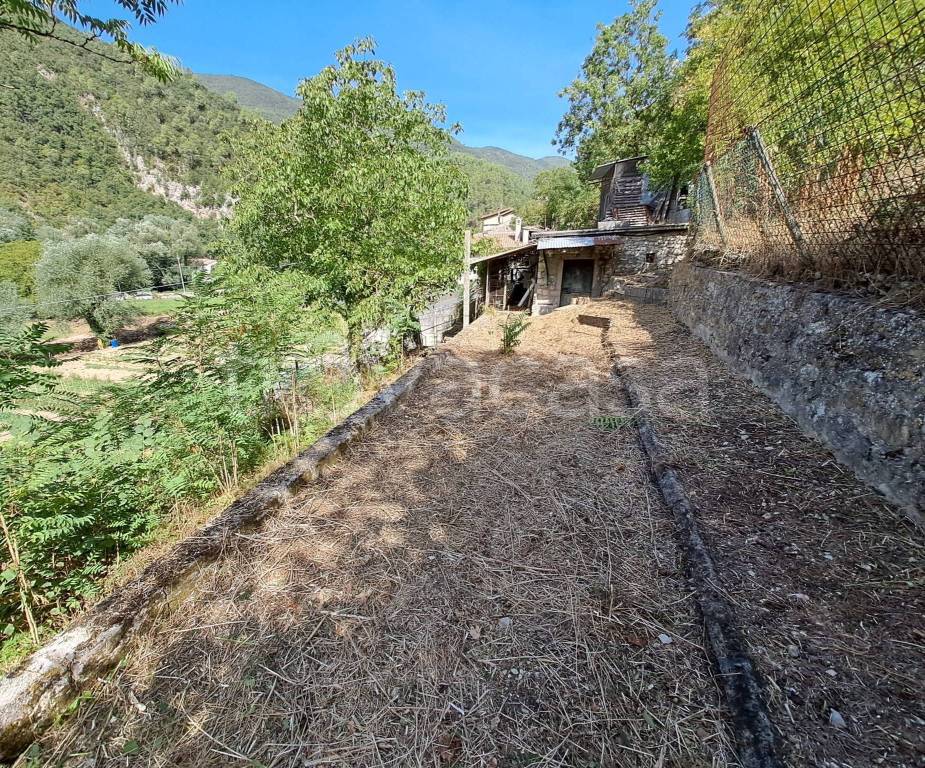 immagine annuncio 2 di 8