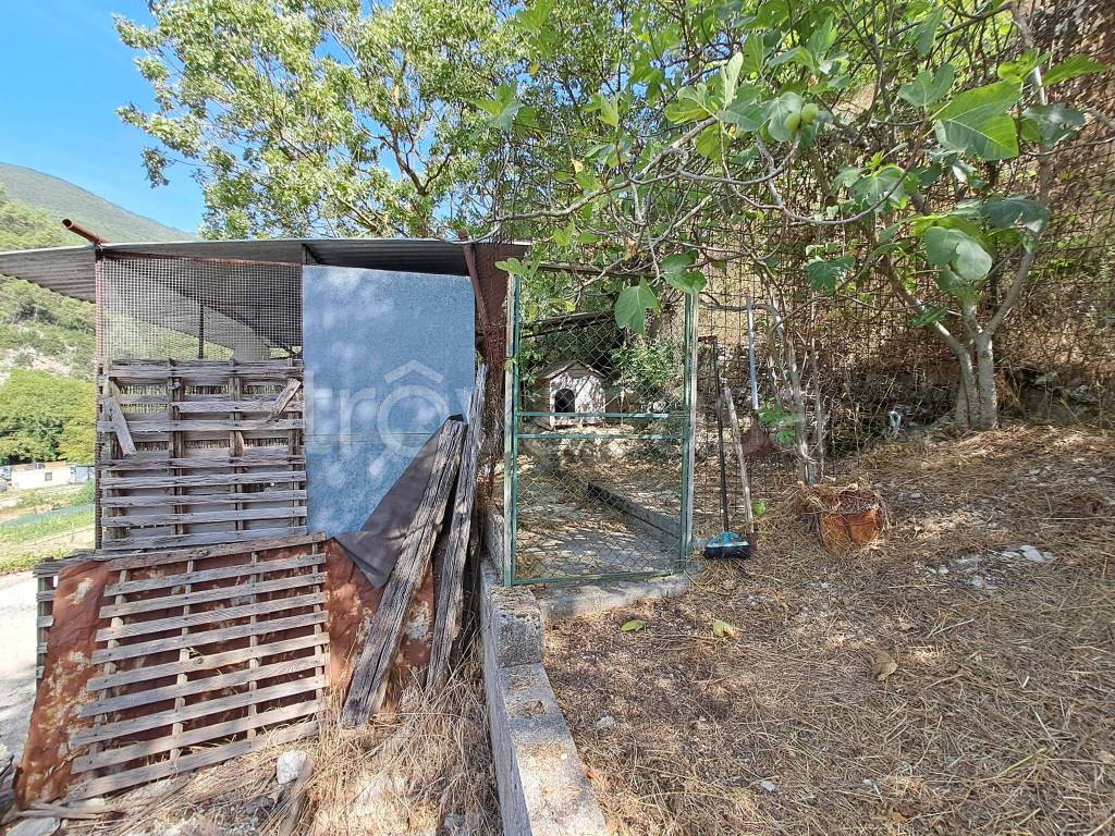 immagine annuncio 3 di 8