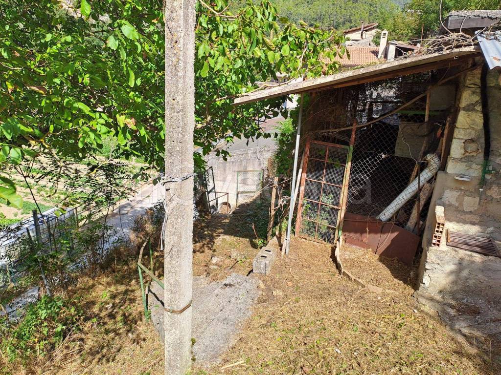 immagine annuncio 4 di 8