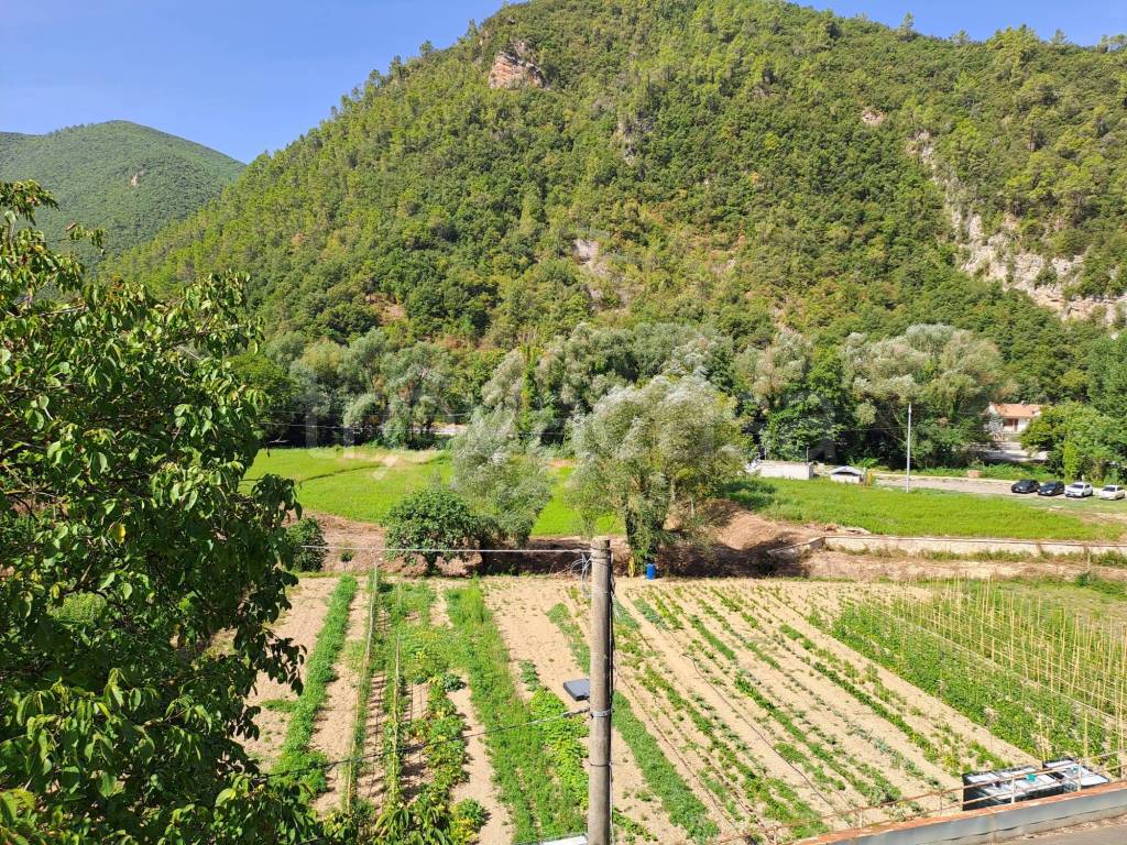 immagine annuncio 7 di 8