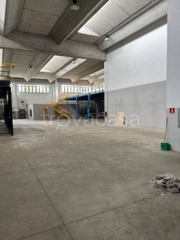 immagine annuncio 7 di 13