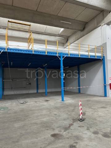 immagine annuncio 11 di 13