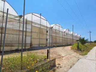 Terreno agricolo in vendita a vittoria contrada anguilla