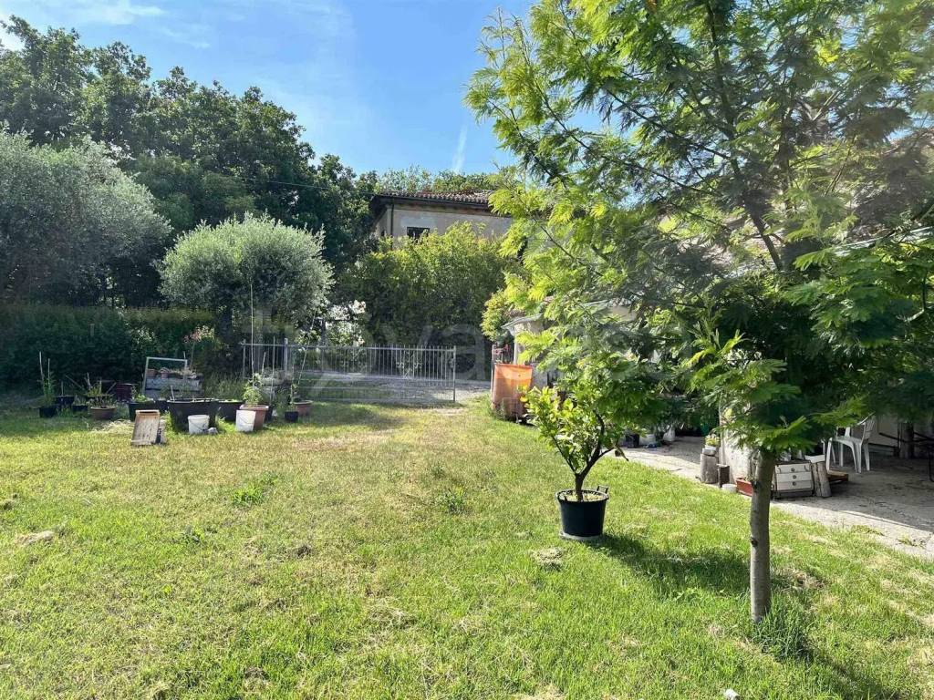 immagine annuncio 7 di 8