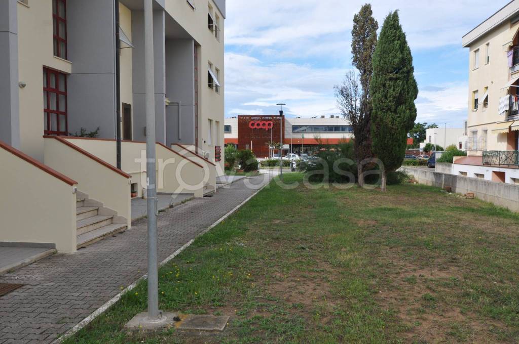 immagine annuncio 6 di 13