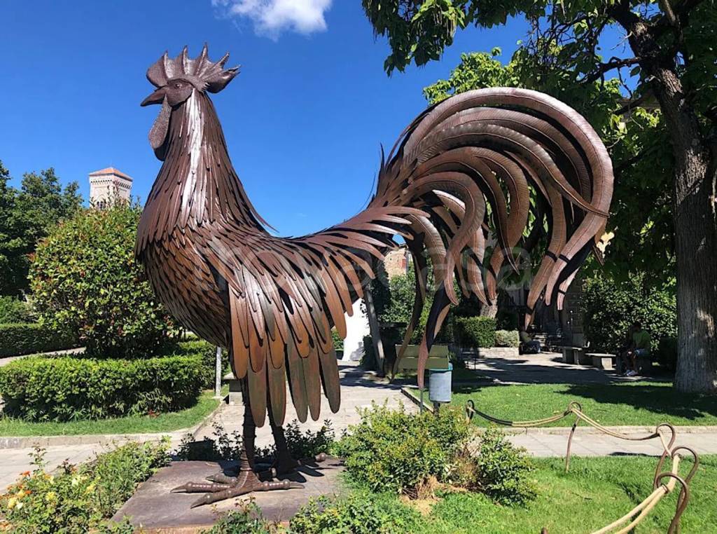 immagine annuncio 4 di 15