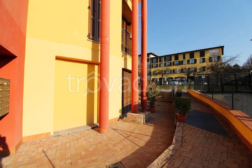 immagine annuncio 4 di 15
