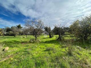 Terreno agricolo in vendita a san vito dei normanni contrada computista, 22