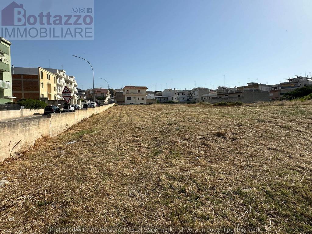immagine annuncio 2 di 11