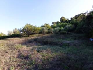 Terreno agricolo in vendita a bracciano via gubbio