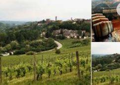 Terreno agricolo in vendita a castagnole monferrato 