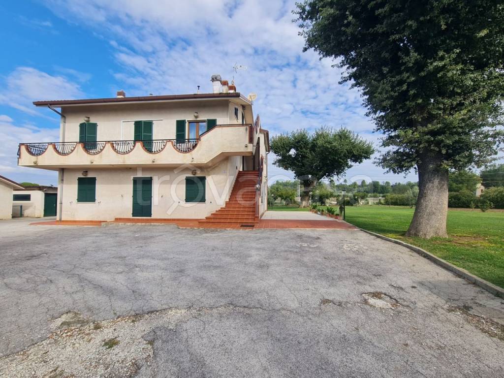 immagine annuncio 10 di 12
