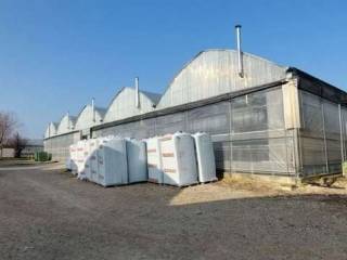 Azienda agricola in vendita a pradamano via 11 settembre