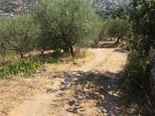 Terreno agricolo in vendita a terracina via del cimitero