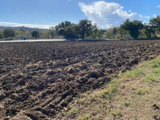 Terreno residenziale in vendita a castelleone di suasa contrada case nuove