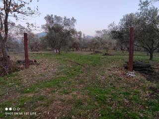 Terreno agricolo in vendita a scarlino 