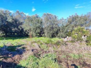 Terreno agricolo in vendita a follonica località il diaccio