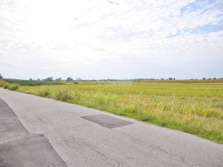 Terreno agricolo in vendita a galliate via edmondo de amicis