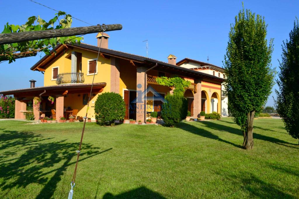 immagine annuncio 1 di 11