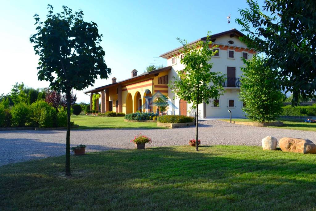 immagine annuncio 4 di 11