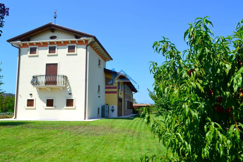 immagine annuncio 10 di 11