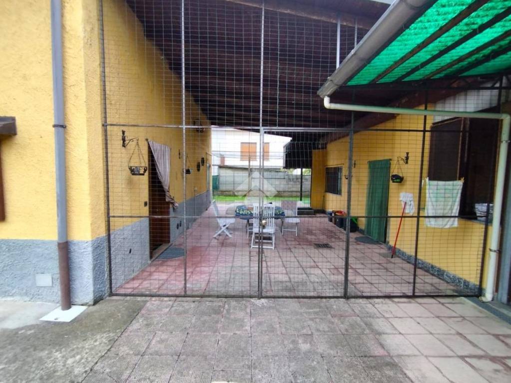 immagine annuncio 3 di 15