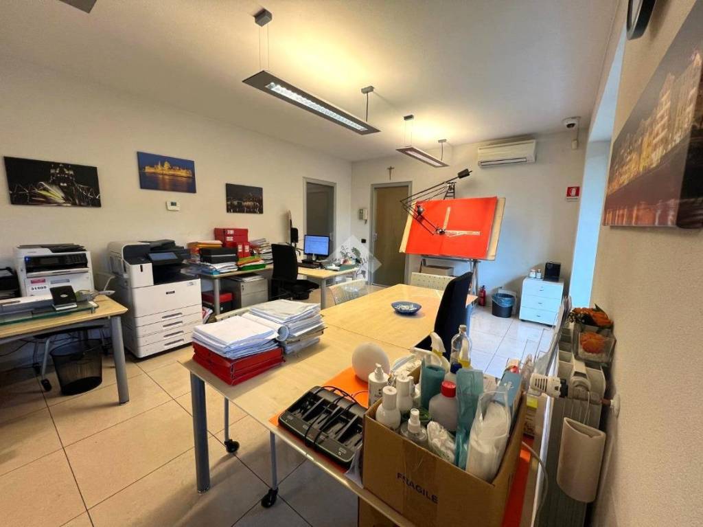immagine annuncio 8 di 15