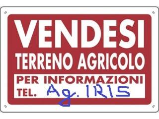 Terreno agricolo in vendita a san giorgio in bosco 