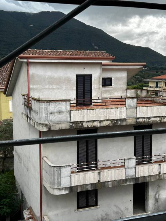immagine annuncio 7 di 14