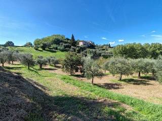 Terreno agricolo in vendita a santa maria a monte via bindone, 3