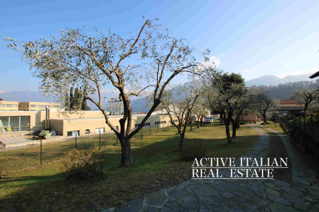 immagine annuncio 6 di 14